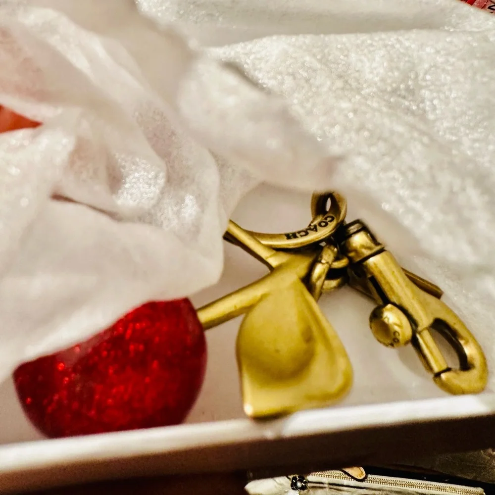 SOLD 🎒🎒Coach Cherry Bag Charm with Box - Picture 7 of 9